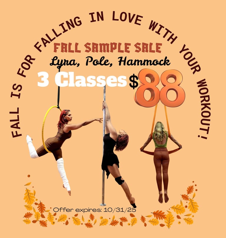 Pole Dance, Lyra, Hammock Aerial Dance class