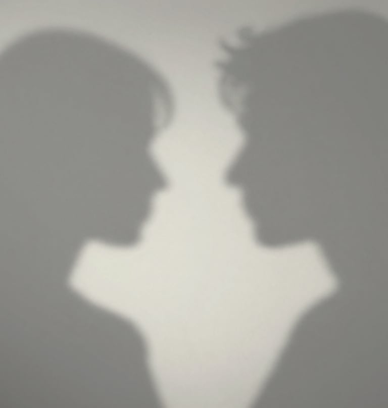 An artistic composition of shadows on a wall, suggesting a human profile, minimalist and emotive, using a mix of #8F8C8A and #F5F2EF.