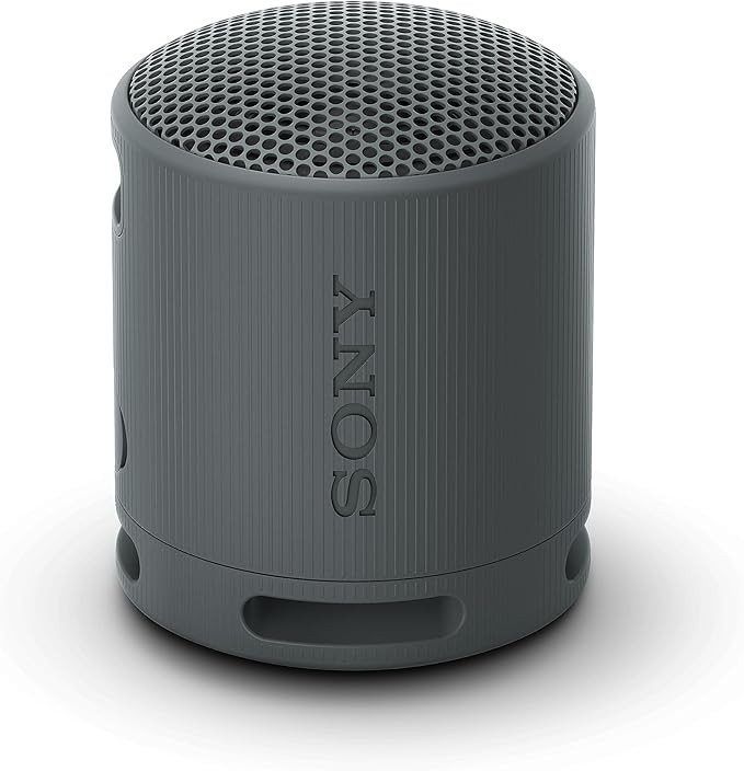 sony srs-xb100