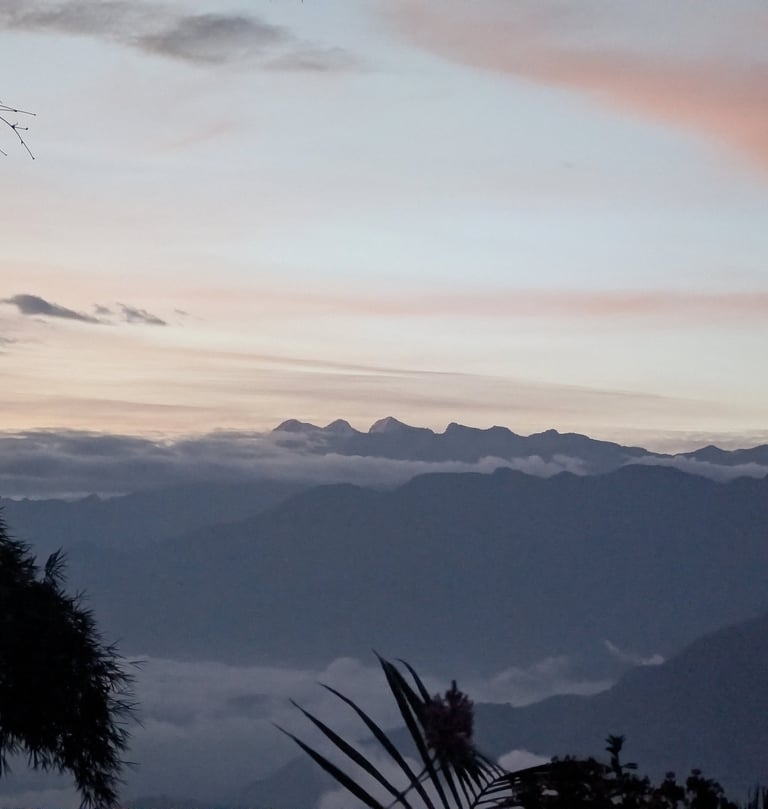 Snowy crops, Pico Cristobal Colon, Sierra Nevada de Santa Marta