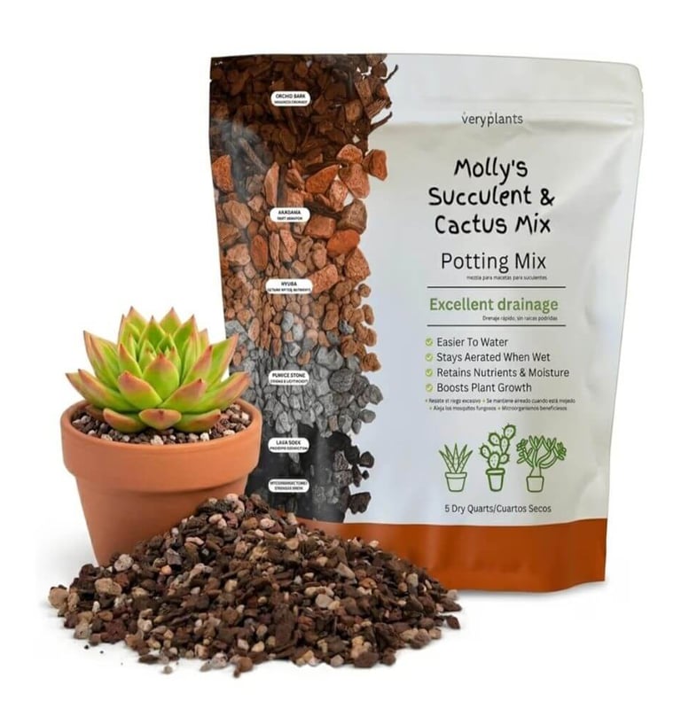 Molly’s succulent and cactus soil mix with fast-draining gritty texture for indoor succulents