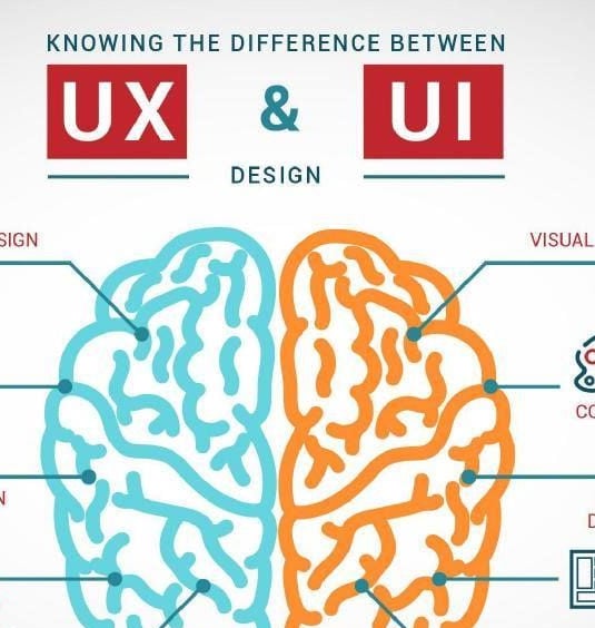 a brain map of ux and ux