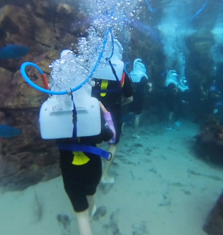 seaVenture discovery cove