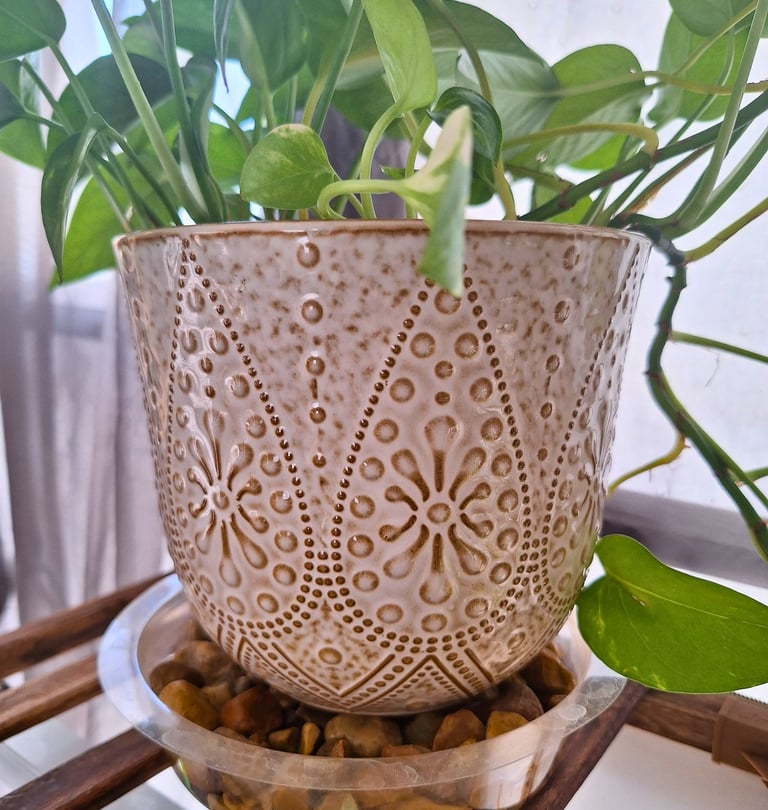 Ceramic banded planter set for indoor houseplants with drainage and saucers