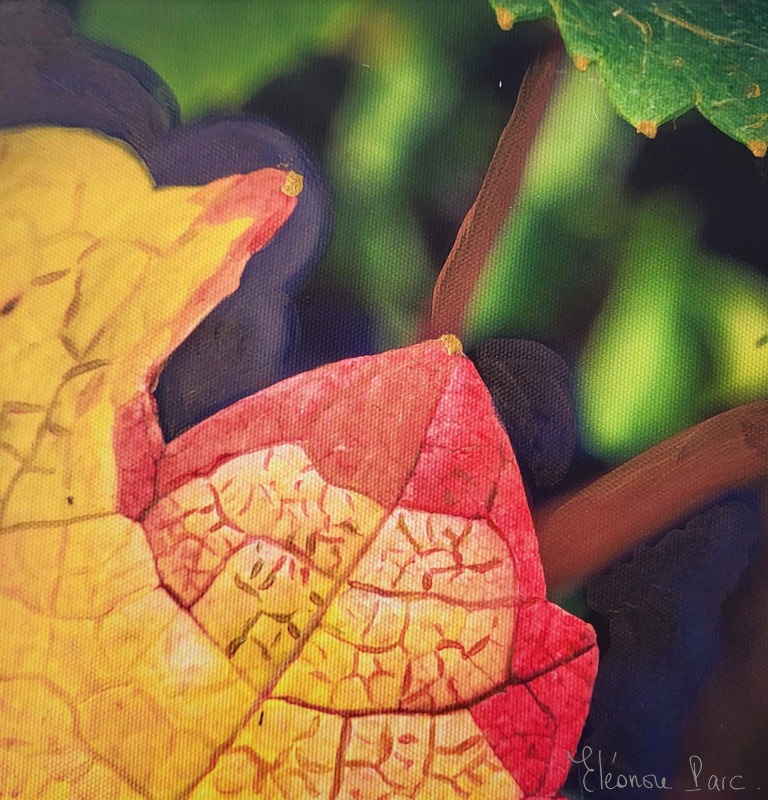 Photo peinte Série Feuille de vie FE 02 ©Eléonore Parc