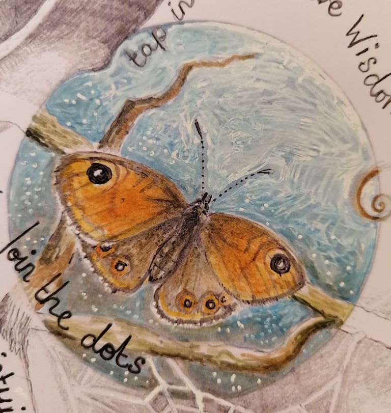 detail of butterfly drawing