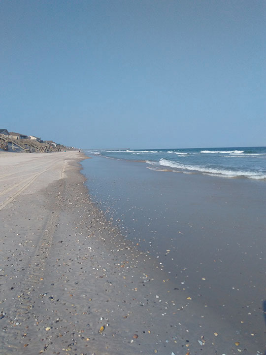 Sea Leaf Book Editing provides book editing, book design, and book publishing assistance