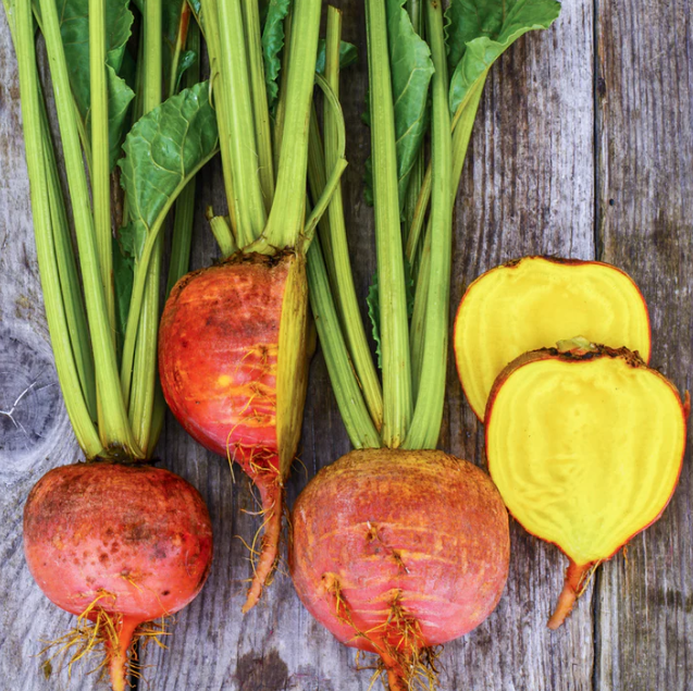 BURPEES GOLDEN HEIRLOOM BEETROOT