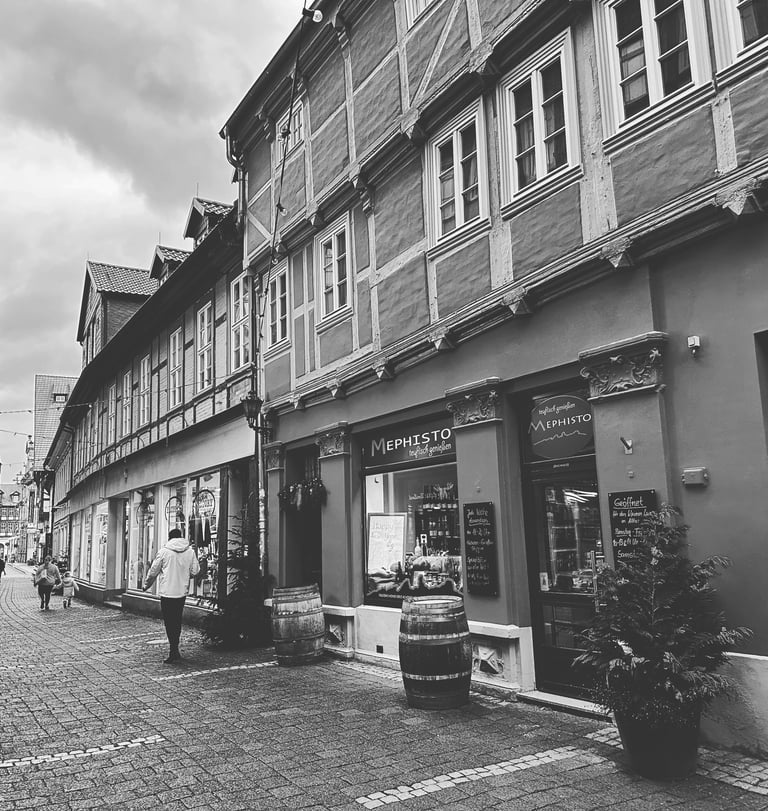 Lovely countryside in Germany, little town of Quedlinburg. Black & White photograph @LVF.LVX