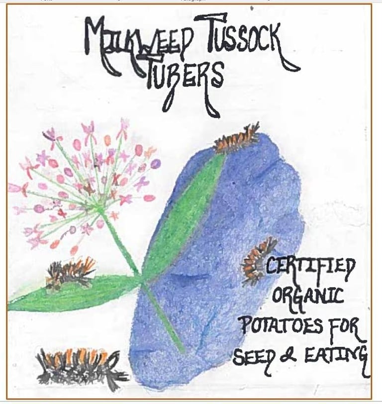 Milkweed Tussock Tubers hand drawn logo of a potato and milkweed plant. 