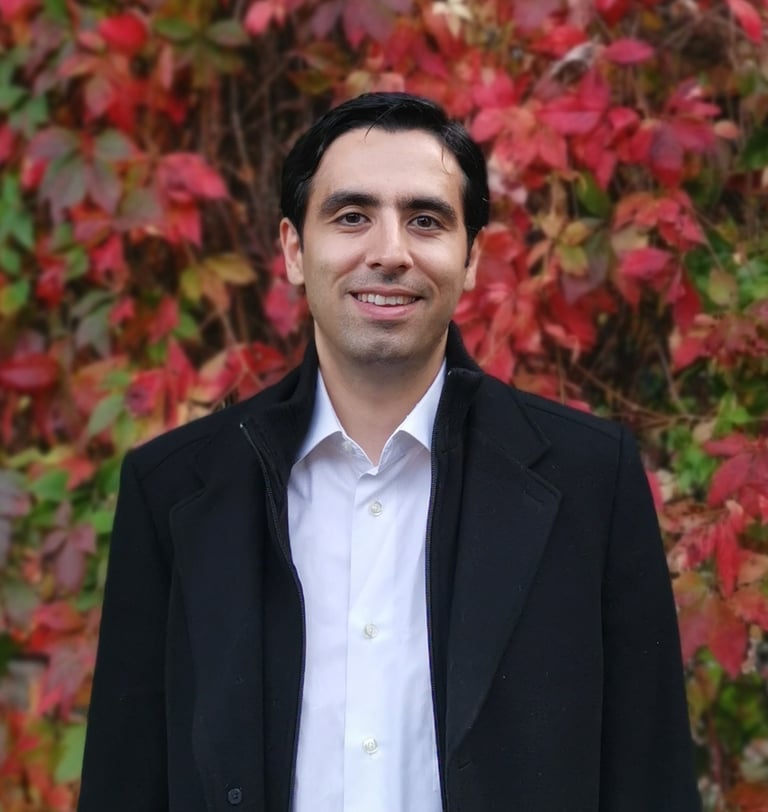 Amir Hassanpour profile