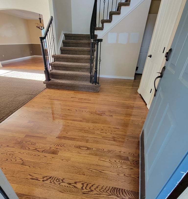 Photo of King Organic Clean just cleaned the Wood Floor Entry Way with clean brown carpet, clean flight of stairs, 