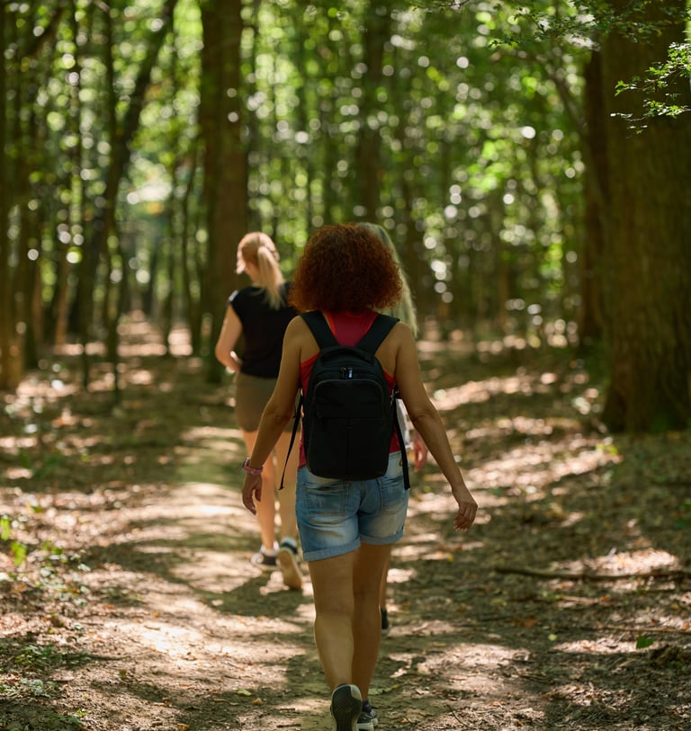 Mendoza Retiro Pulsar treking