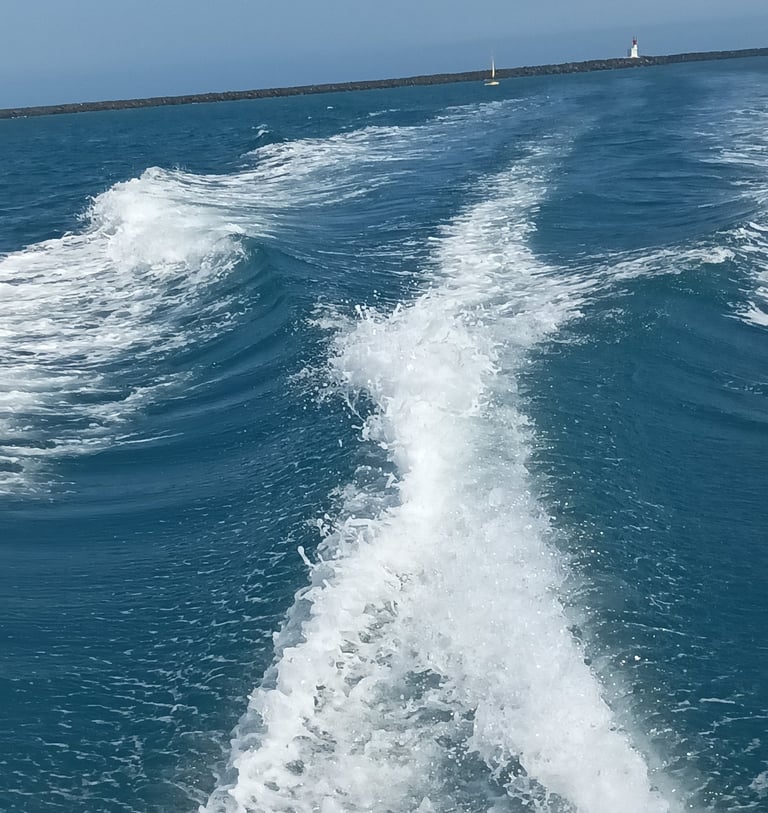 A life on the ocean wave