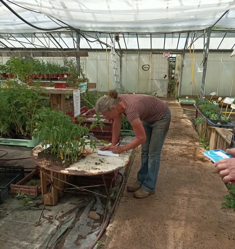 Mme.. Gros totting up the cost by hand.