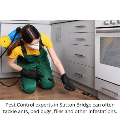 Pest control expert in Sutton Bridge inspecting  a kitchen.