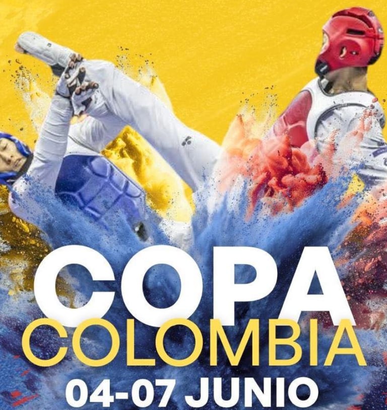 DOJOS.LAT Noticias y actualidad de artes marciales