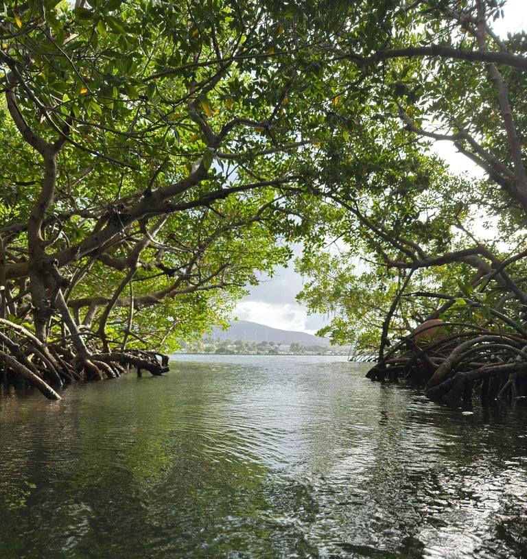 Caraibes Passiflora voyage france guadeloupe