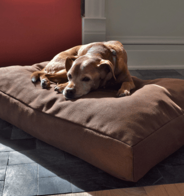 Bean Products organic hemp pet bed with recycled latex foam fill