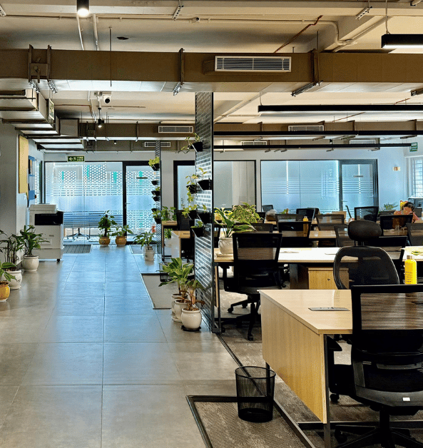 a large open office with a lot of plants- Clayworks 5B