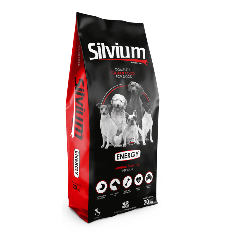 Silvium Energy