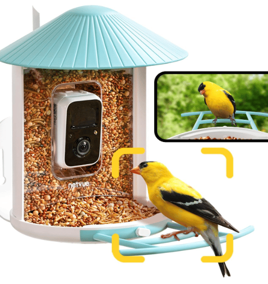 AI Smart Bird Feeder with Camera
