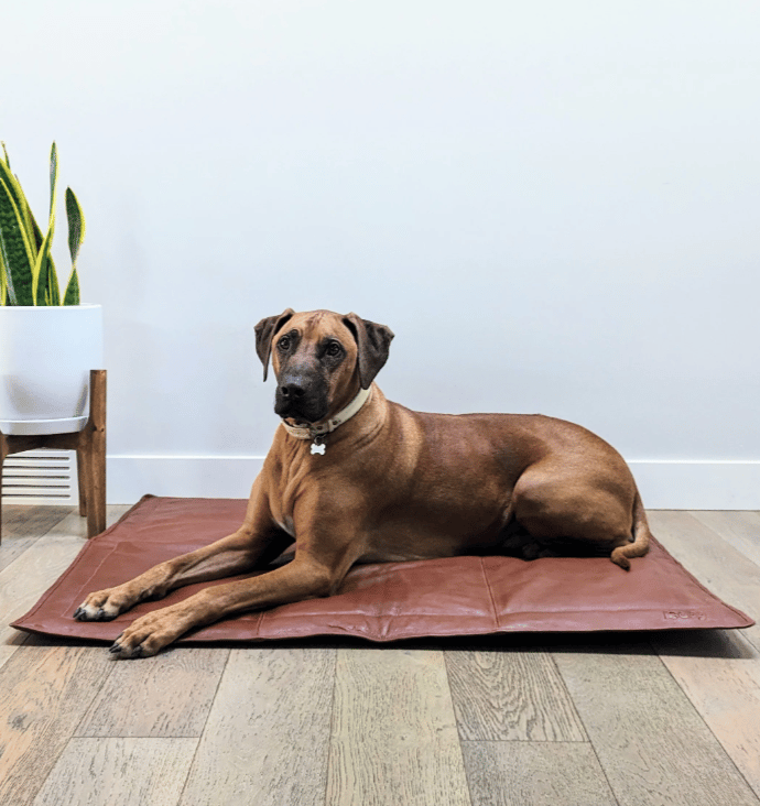 Portable cognac leather dog mat for travel and car use.