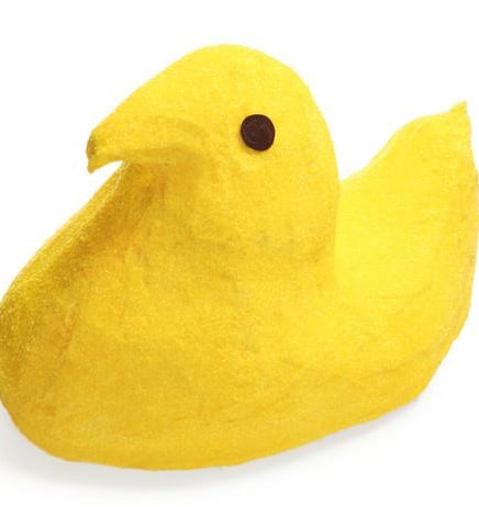 a yellow duckling with a yellow duckling on it