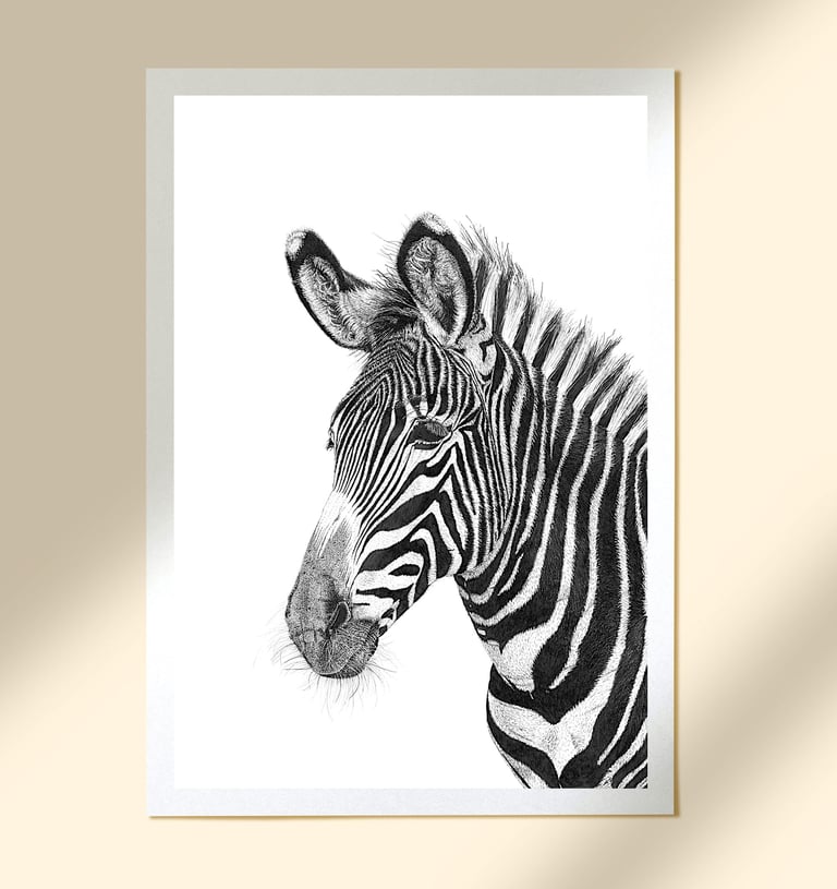 Wildlife Art - Grévy's Zebra