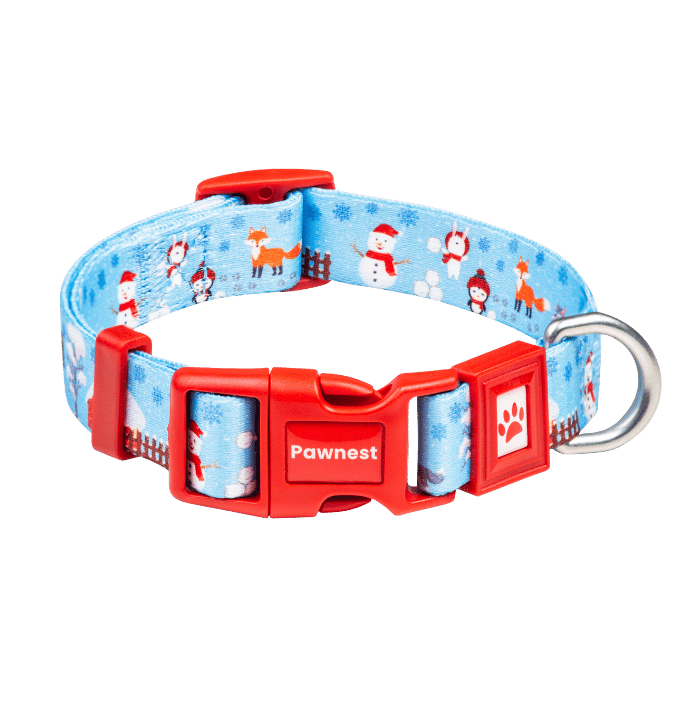 Pawnest® Frosty Friends dog collar – red buckle winter design with snowman print, recycled strap.