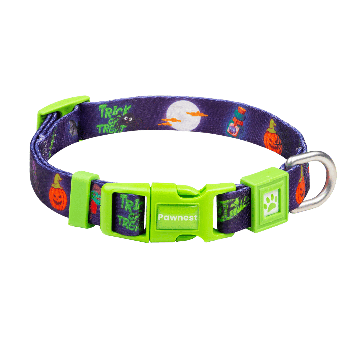 Pawnest® Spoo-Woofy dog collar – Halloween-themed green buckle, durable and stylish.