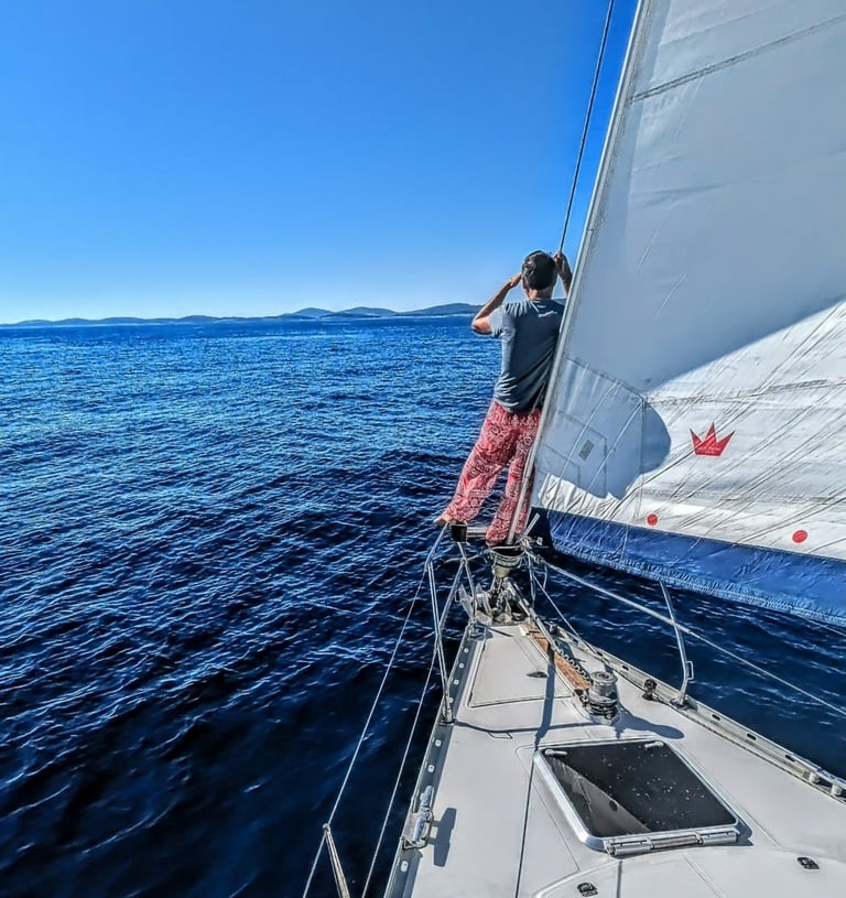 Alla ricerca di belle fuste