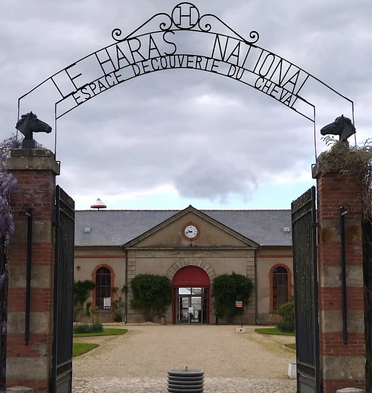 Ty Bayon - Activités pour vos P'tits Loups - Le Haras National d'Hennebont