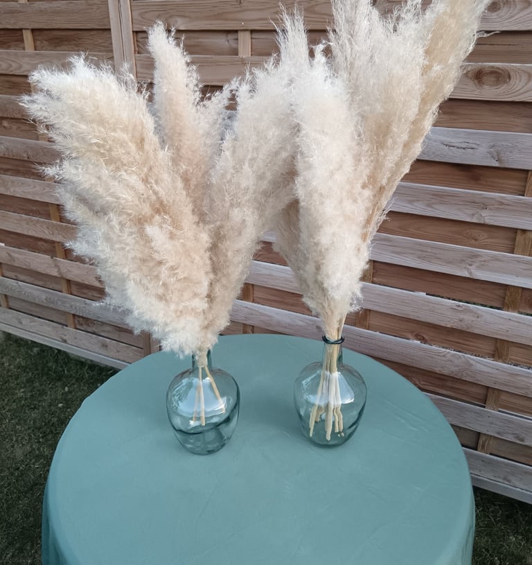 pampas