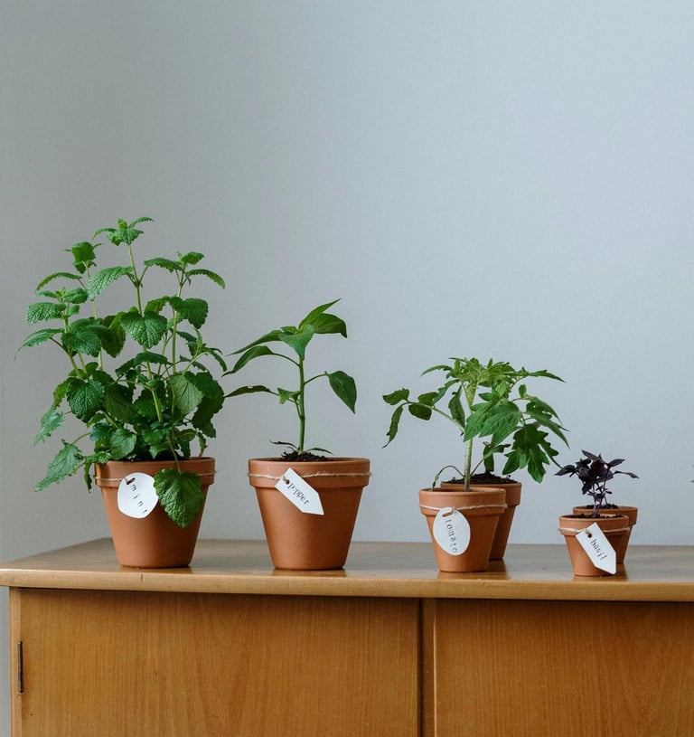 Janvriksha - Capacity building through faculty development and academic audits