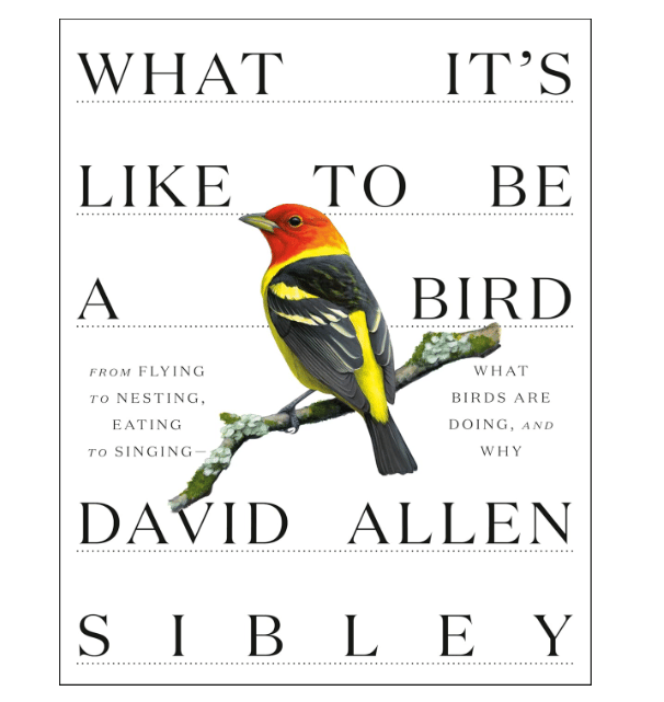 Bird Book