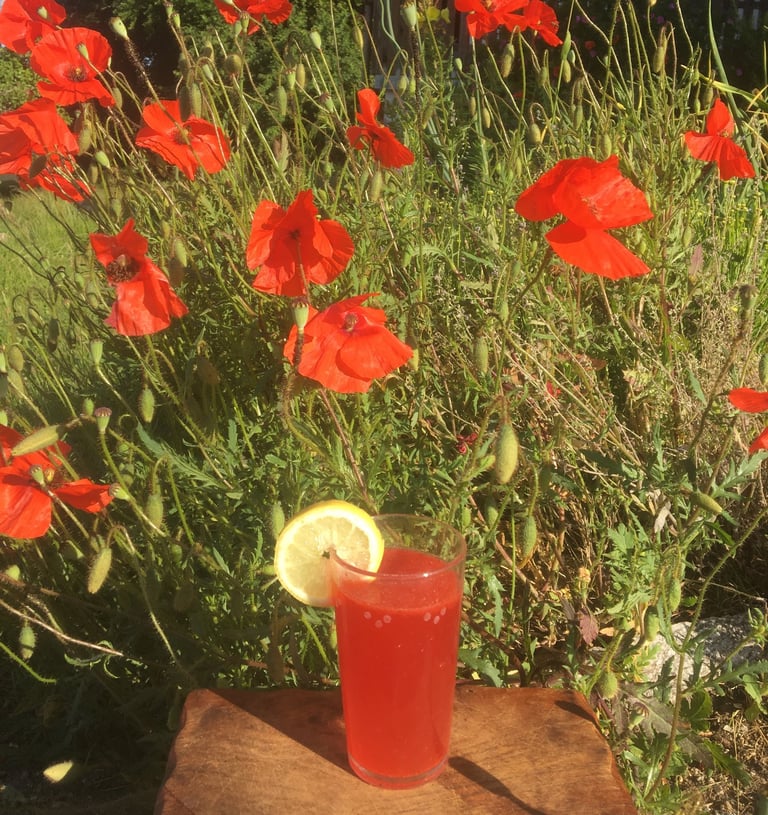 Mohnblumen mit einem Erfrischungsgetränk aus den Blüten