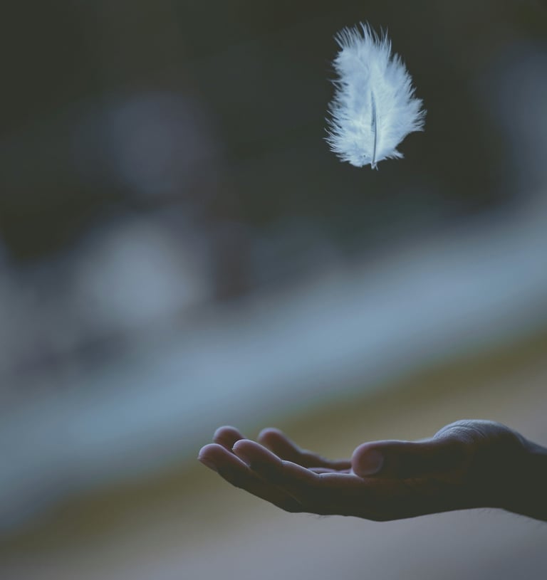 a person holding a white feather feather feather