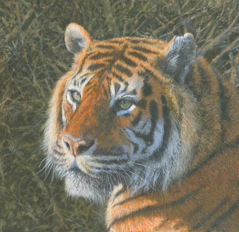 In oil portrait  of a Tiger with twigs behind 