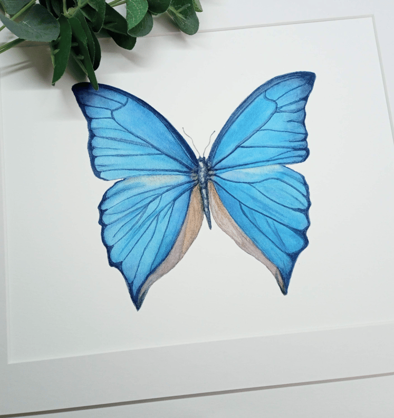 Blue Butterfly art print