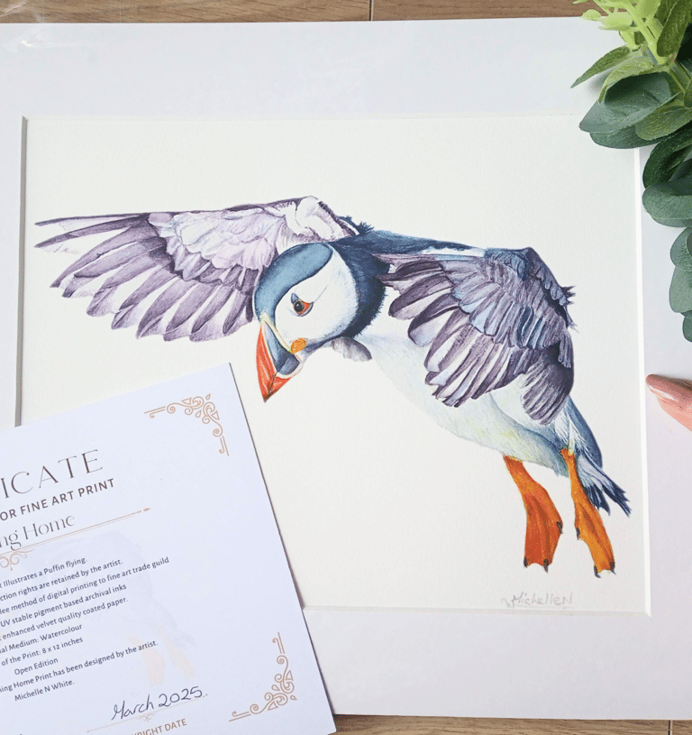Puffin Art Print