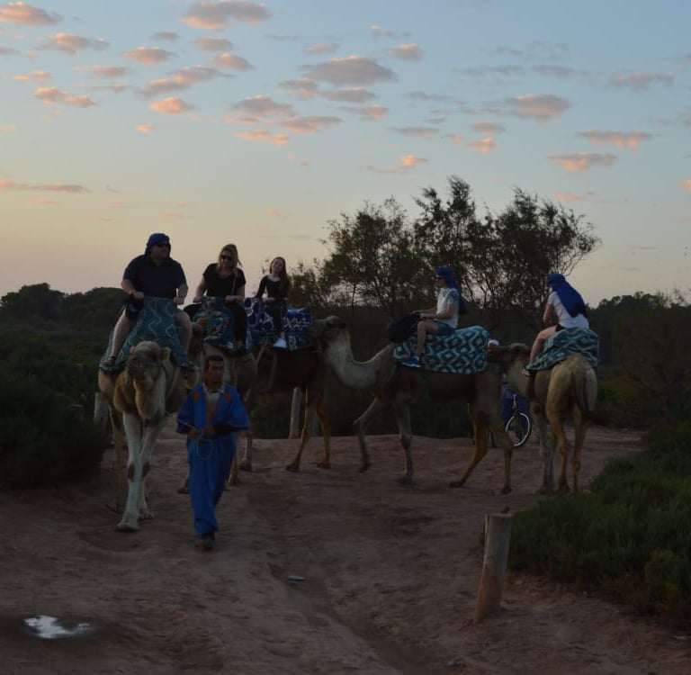 CAMEL RIDE IN AGADIR BY DAR SOUSS LOISIR
