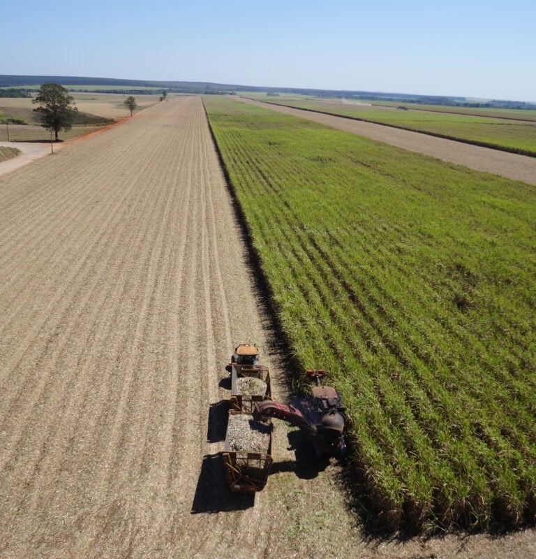 a tractor is driving down a large sugar kane field