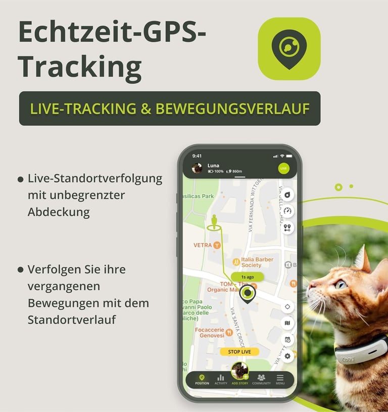 Katzentracking bei der Katzenbetreuung