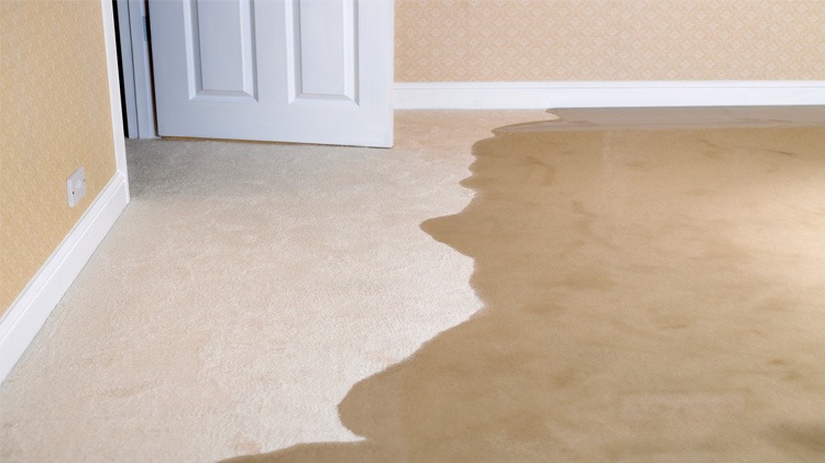 flooded basement leak detection for insurance claim