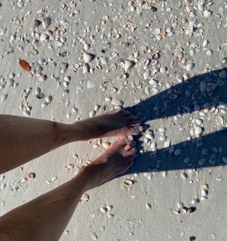 Maxwell Falk is a perfect Sea Shell