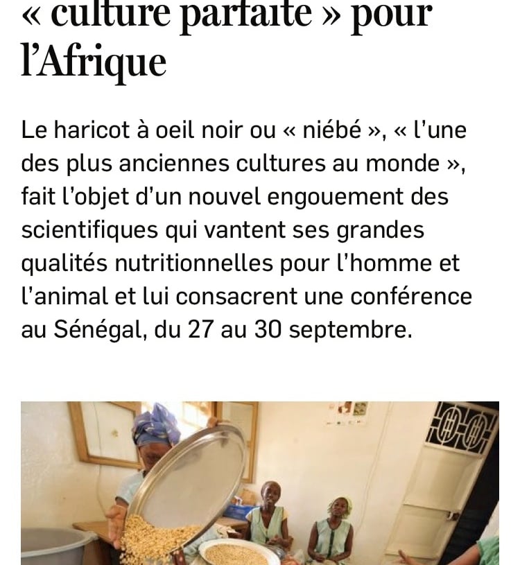 Jeune Afrique Niébé
