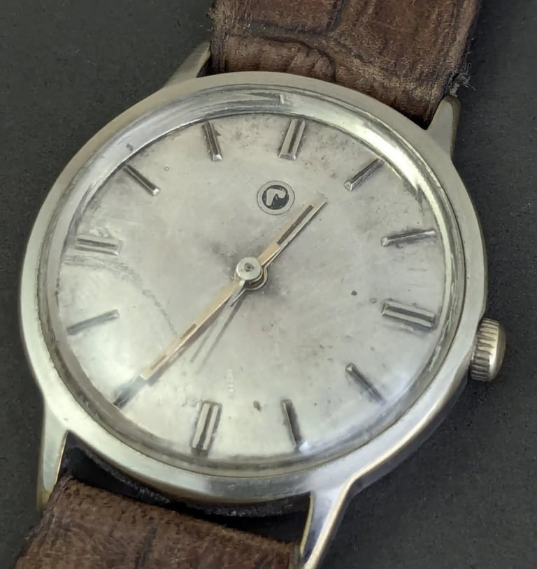 Swiss Roamer Watch