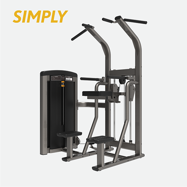 Dip & Chin Machine