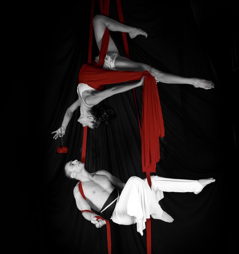Two aerial silk performers posing in a dramatic black and white duo routine with red fabric accents.